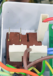 bx pt promax 24 store erp e66458 sel brown orange wires disc.jpg